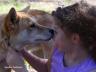 childanddingo